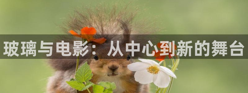 久久久久国产精品嫩草影院：玻璃与电影：从中心到新的舞台