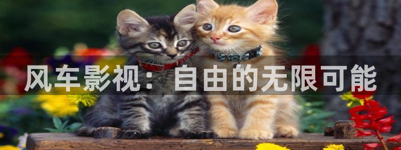 嫩草影院入口2023：风车影视：自由的无限可能