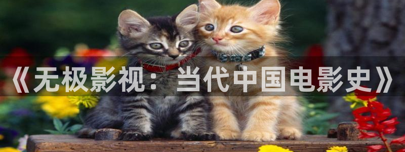 嫩草影院久久国产：《无极影视：当代中国电影史》