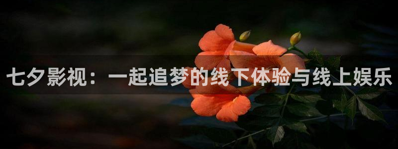 嫩草精品影院：七夕影视：一起追梦的线下体验与线上娱乐